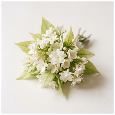 BLOMSTRET